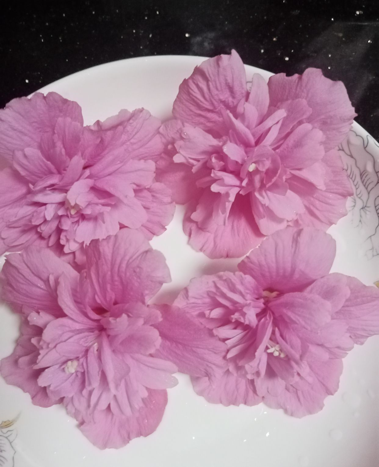 香煎木槿花,好看好吃,营养丰富