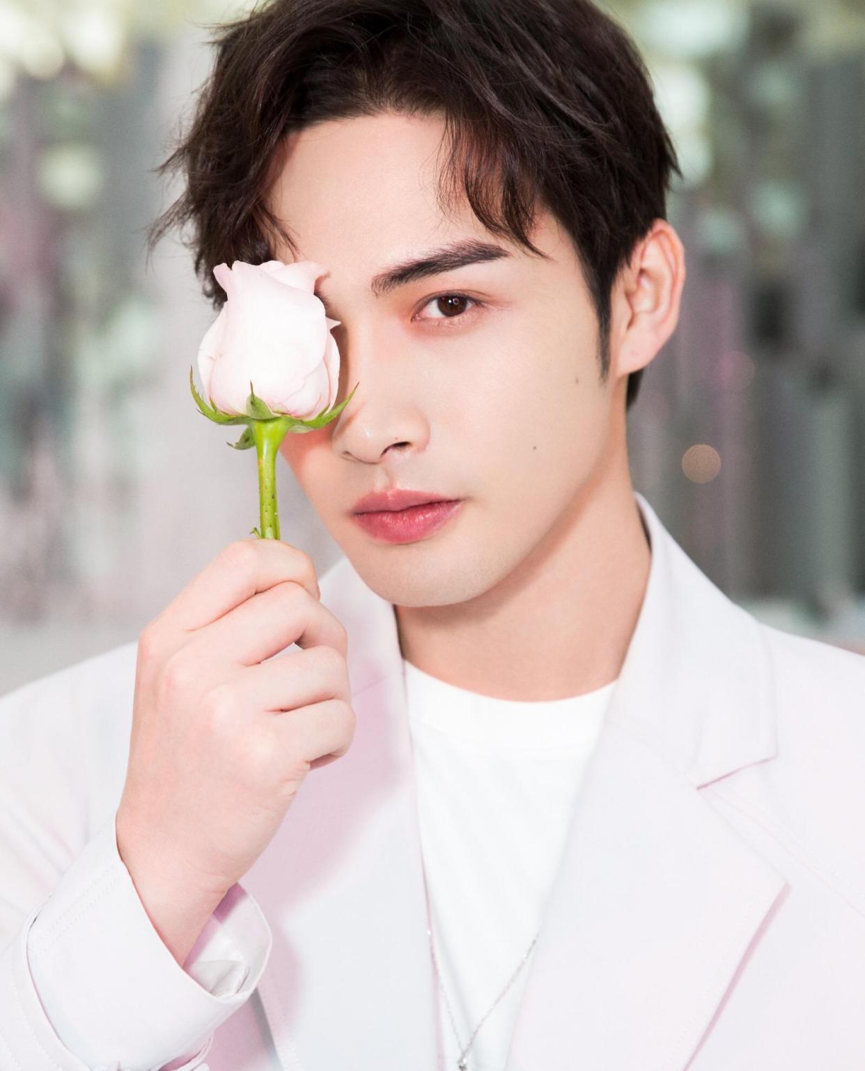 司藤张彬彬秦放为什么一直没有大火