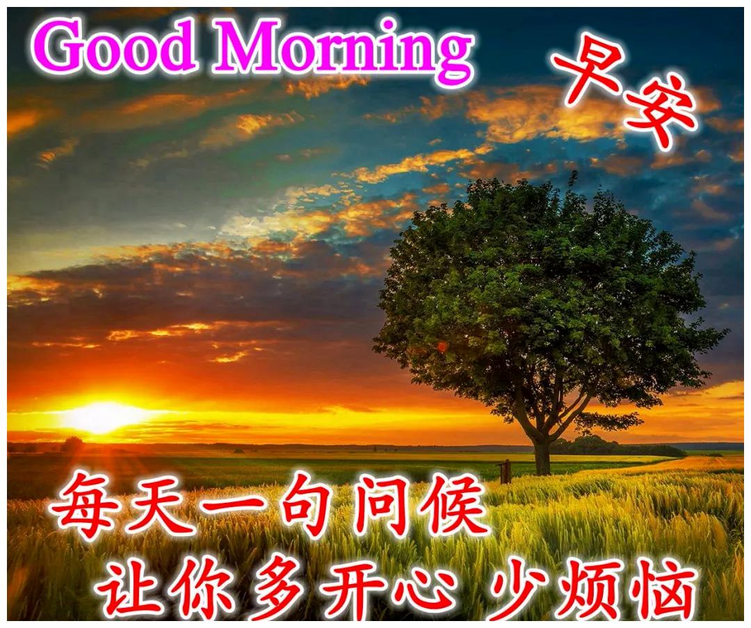 5月9日周二早上好清晨暖心祝福语图片问候语 - 哔哩哔哩