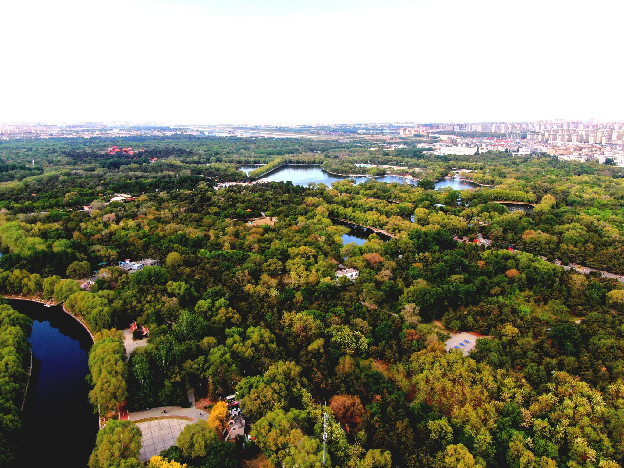 辽宁联合融媒体中心《航拍辽宁》——航拍沈阳北陵周边美景