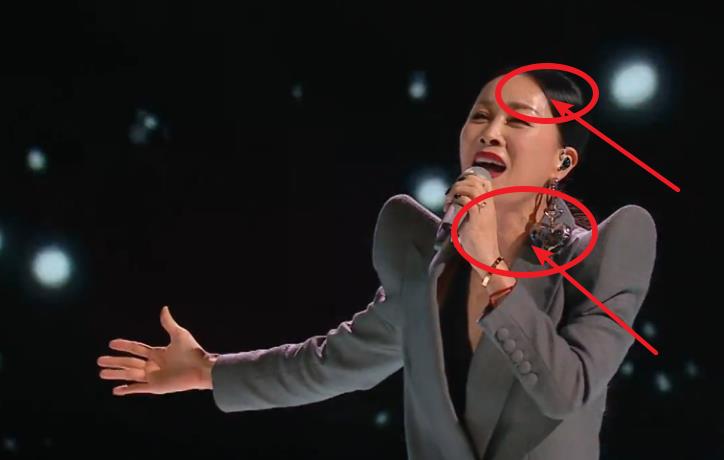 那英一开口犹如演唱会现场不曾想陷入假唱风波天后跌下神坛