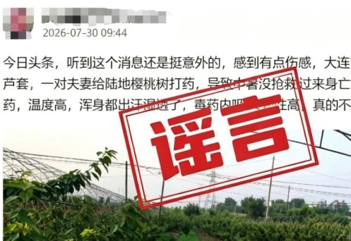 网上编造“夫妻打药中暑身亡”,大连金普一网民被行政处罚 网上编造“夫妻打药中暑身亡”,大连金普一网民被行政处罚