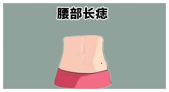 腰部长痣在相学当中,若是一个人的腰部的位置处长有吉痣,则大多数的