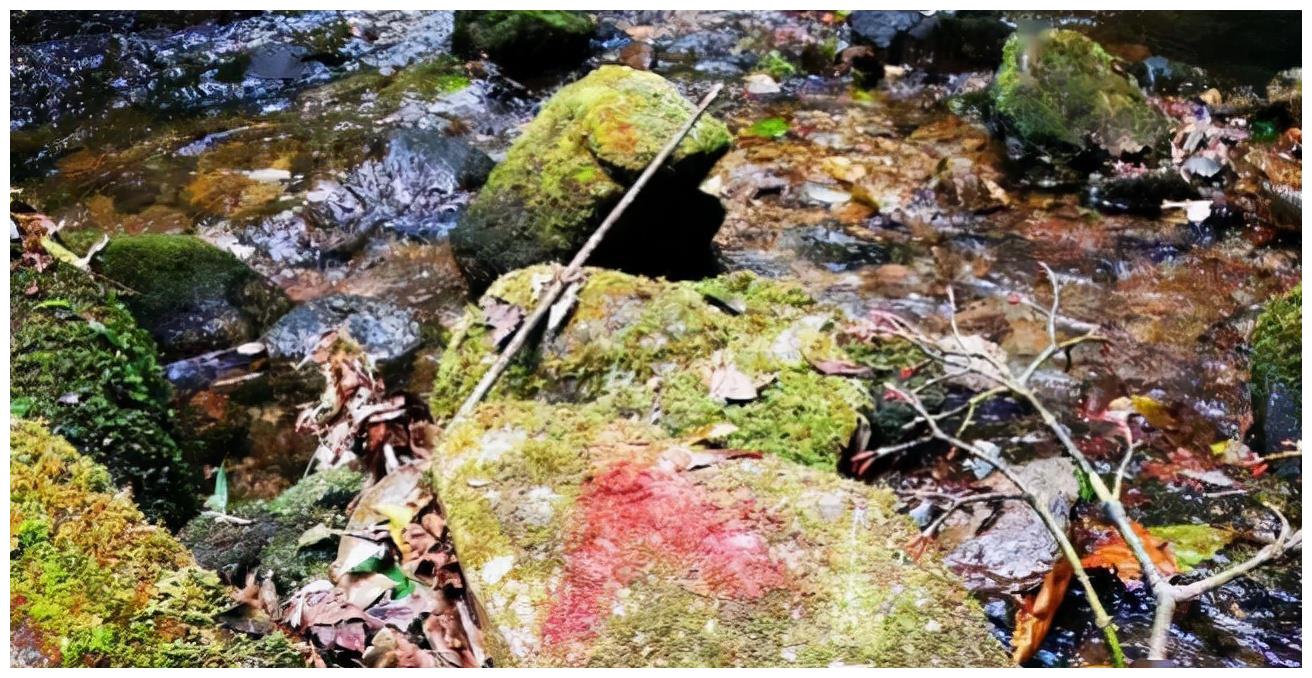 两个误区，两个原因，4名地质人员哀牢山诡异死亡或因雷击？休闲区蓝鸢梦想 - Www.slyday.coM