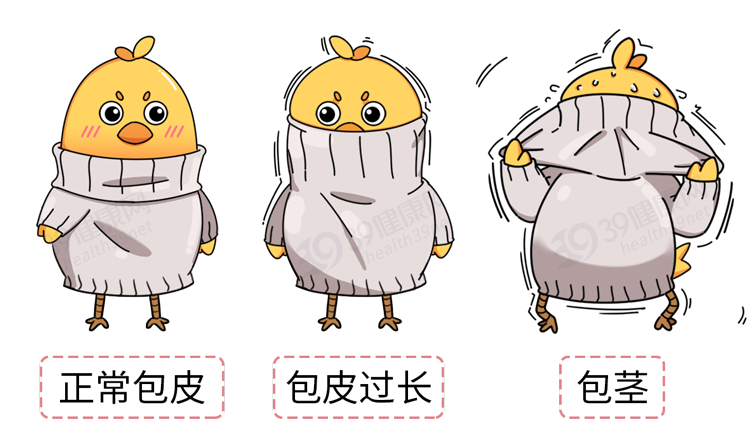被割下的“包皮”都去哪儿了？还能回收利用吗？为你揭秘