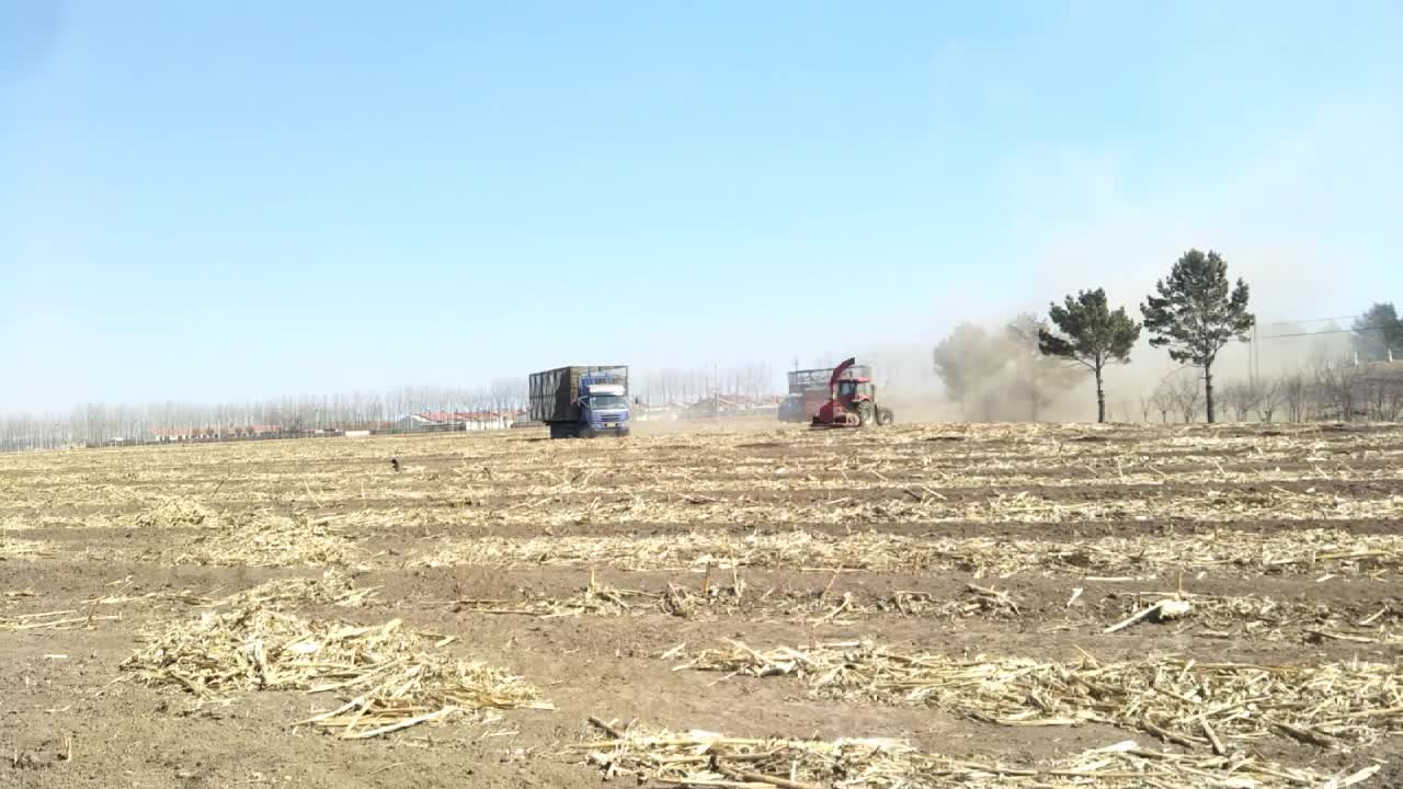 春耕时节灭茬,原创视频