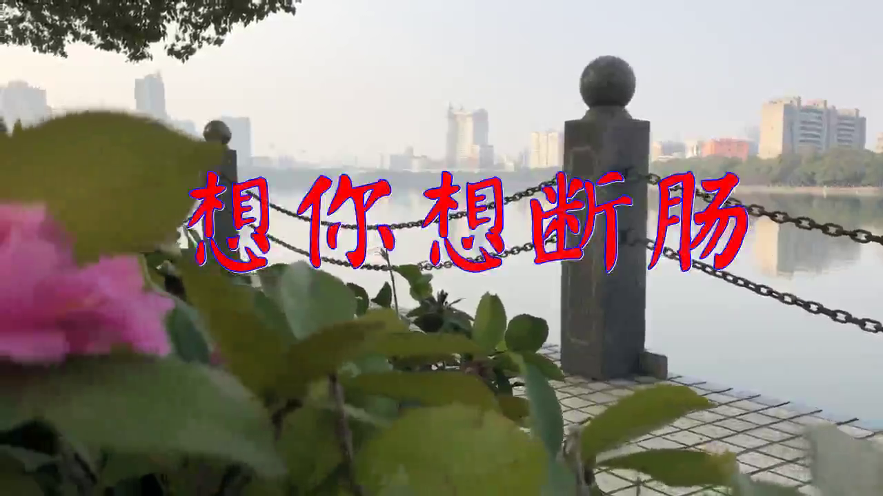 邓丽君的一首《想你想断肠》,炉火纯青,一字一珠