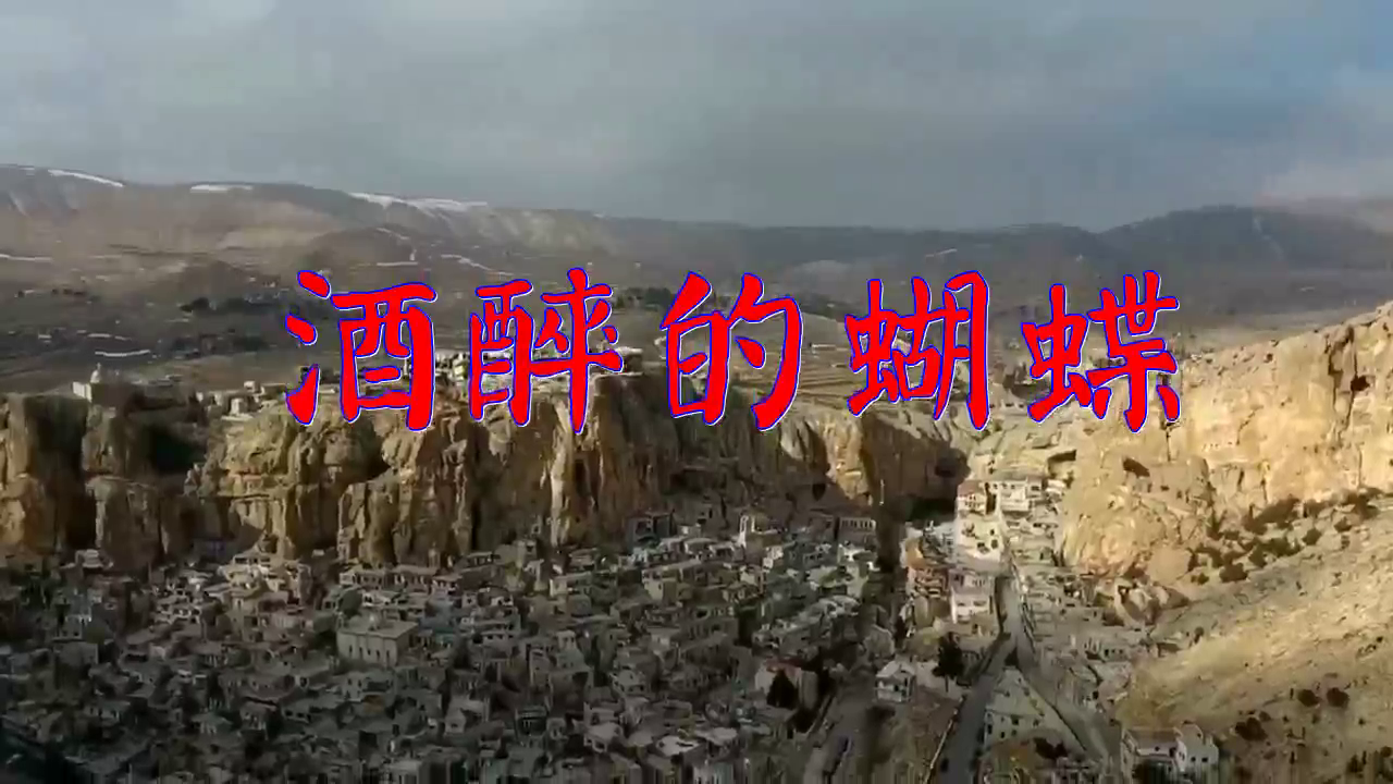 张柏芝版《酒醉的蝴蝶》十分好听,令人沉醉!