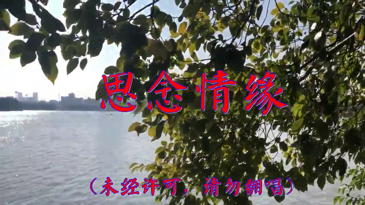 分享龙奔,张怡诺的经典歌曲《思念情缘》,忍不住单曲循环
