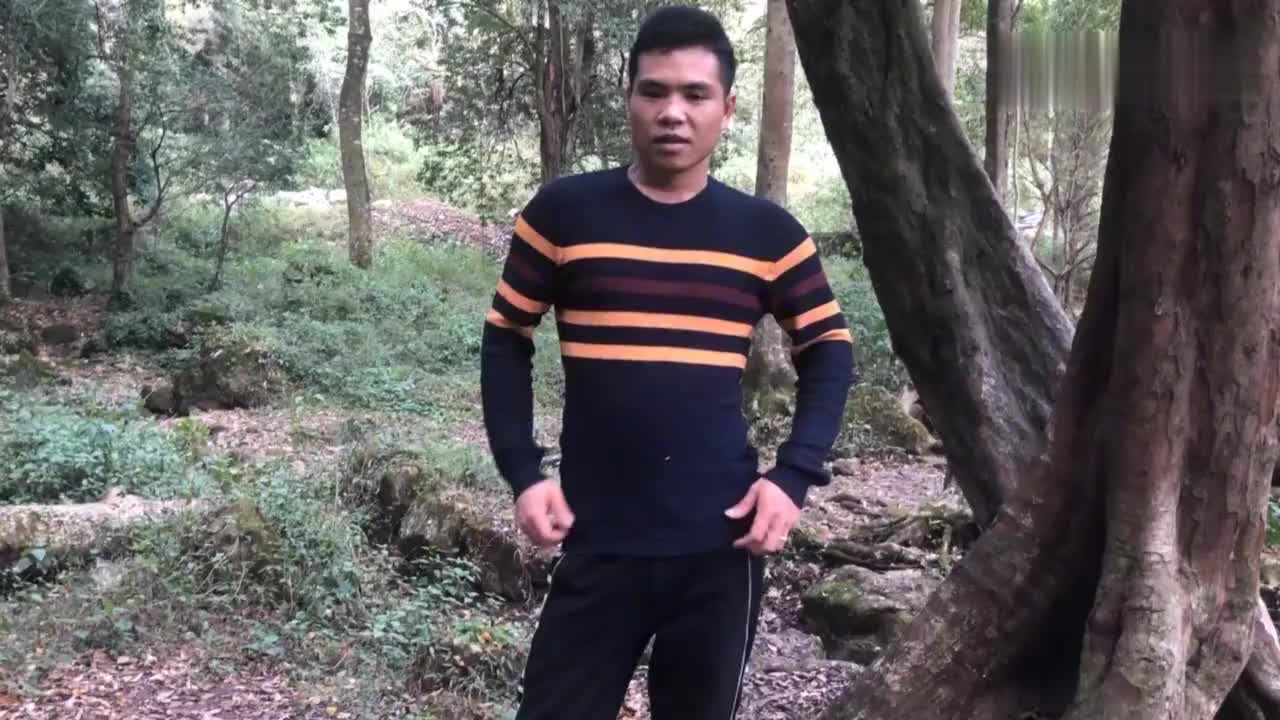 这颗树那么大小陈抱不完,我看都有80公分大,这种是被保护很少了