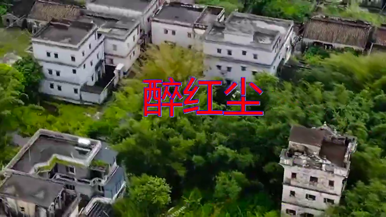 魏新雨《醉红尘》,经典旋律好听极了