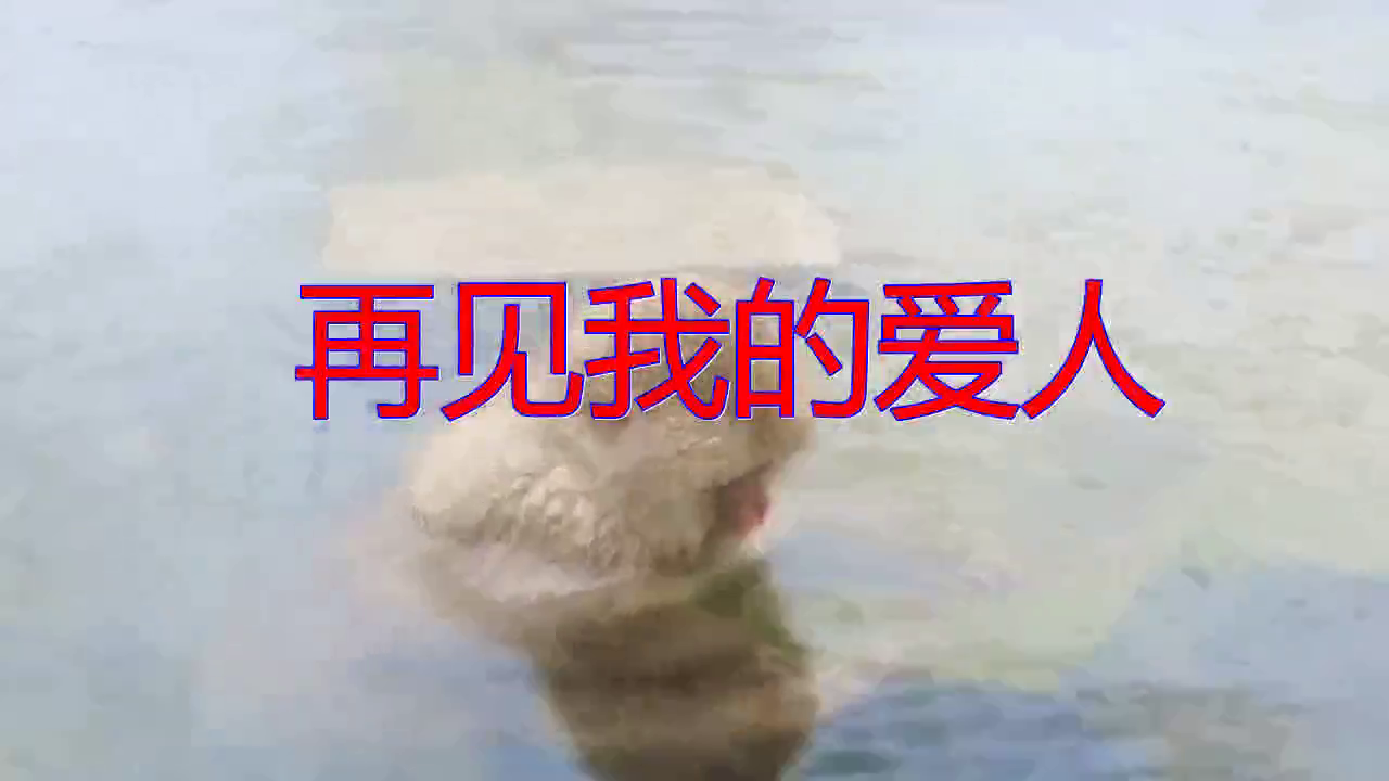 邓丽君的一首《再见我的爱人》,很经典的歌曲,天籁之音