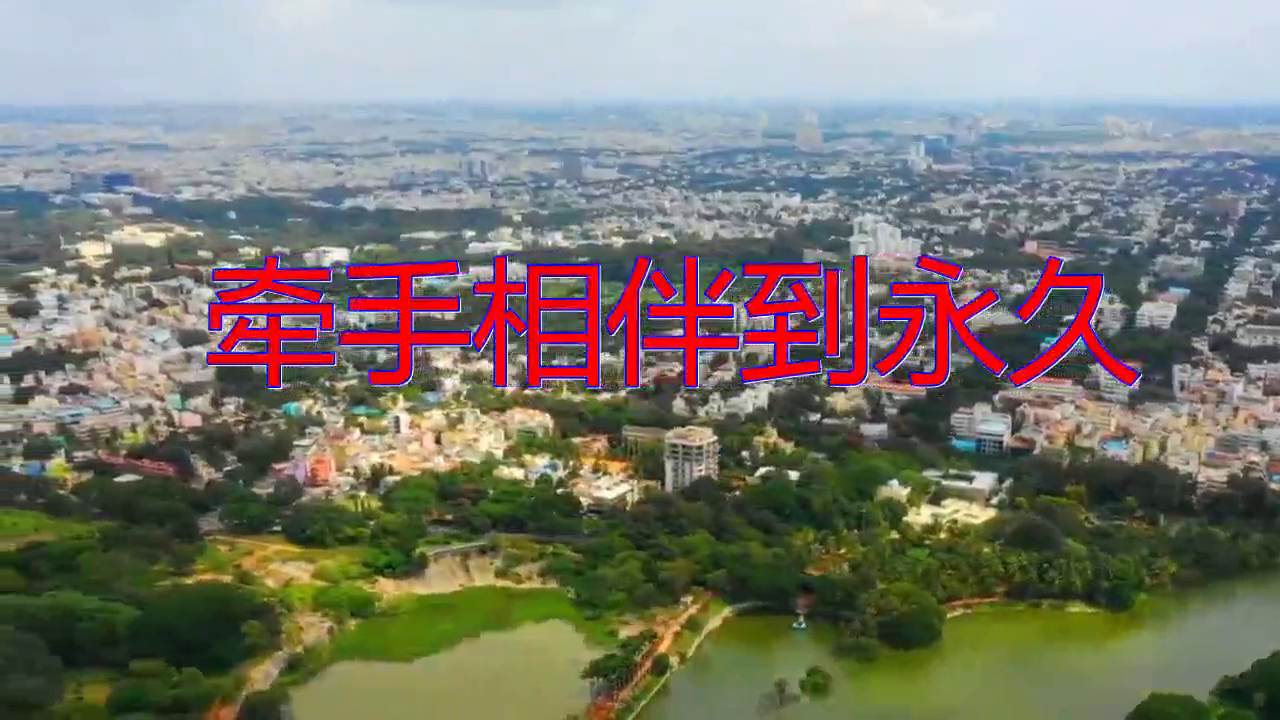 蔡红军《牵手相伴到永久》,犹如天籁,唱功厉害