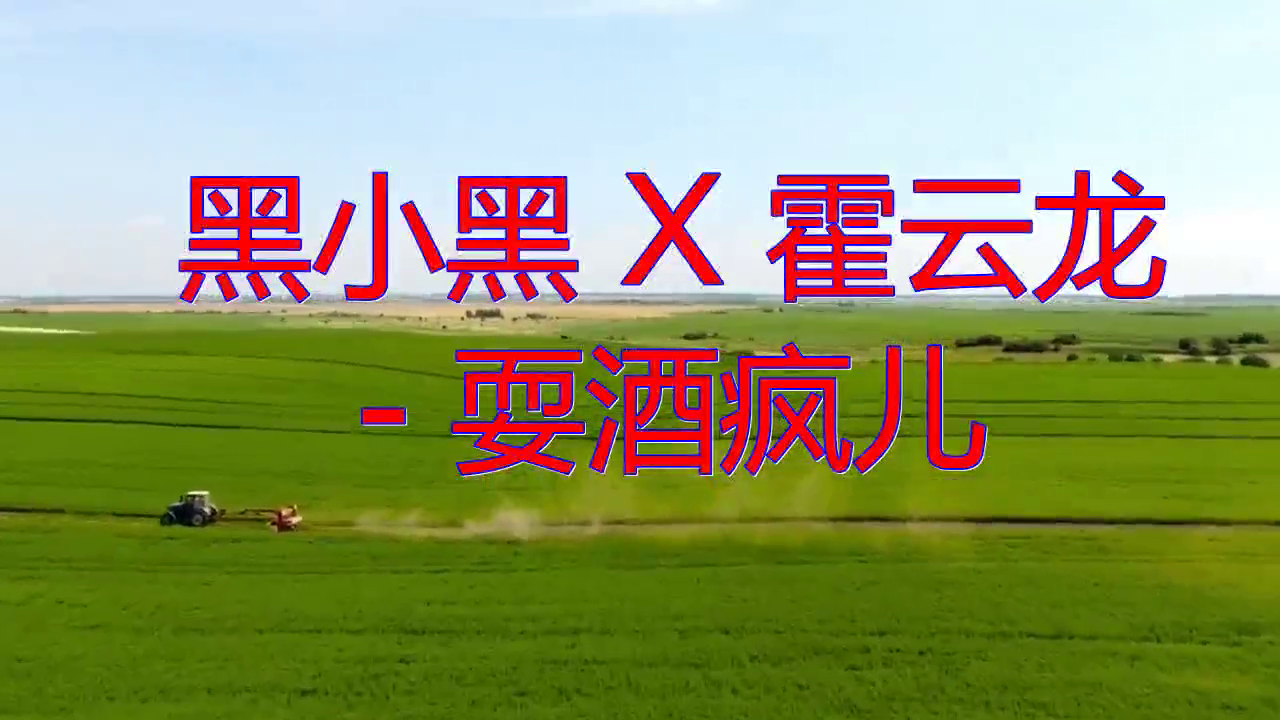 《黑小黑 x 霍云龙 - 耍酒疯儿》,旋律如水,歌声伤感