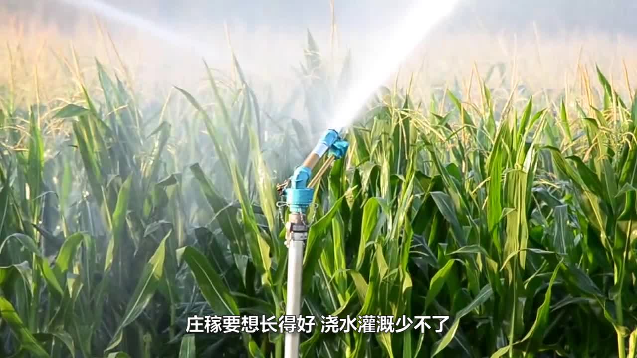 看看美国是怎么浇地的,一个小时就是80亩地,这才是大型机械