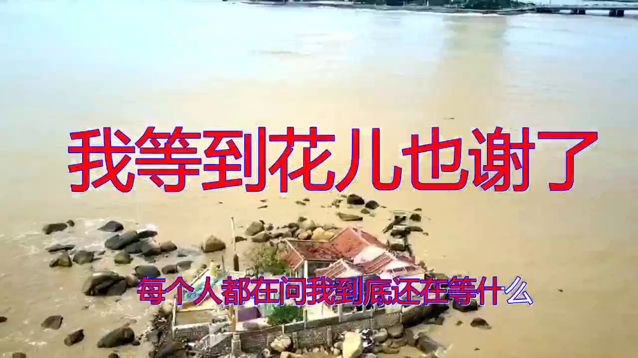 好歌分享,《我等到花儿也谢了》,忍不住听了又听