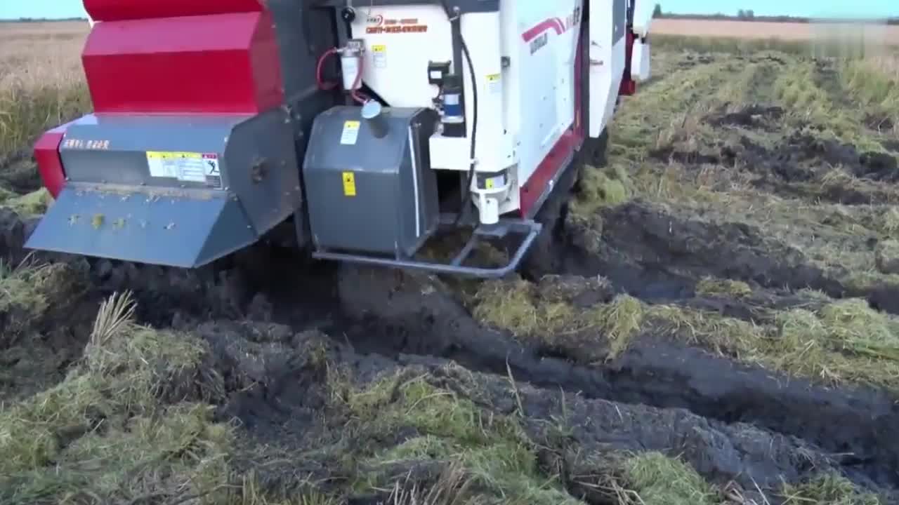 收割机收割水稻,又是烂泥田作业又是水稻倒伏,看看怎么收割的吧