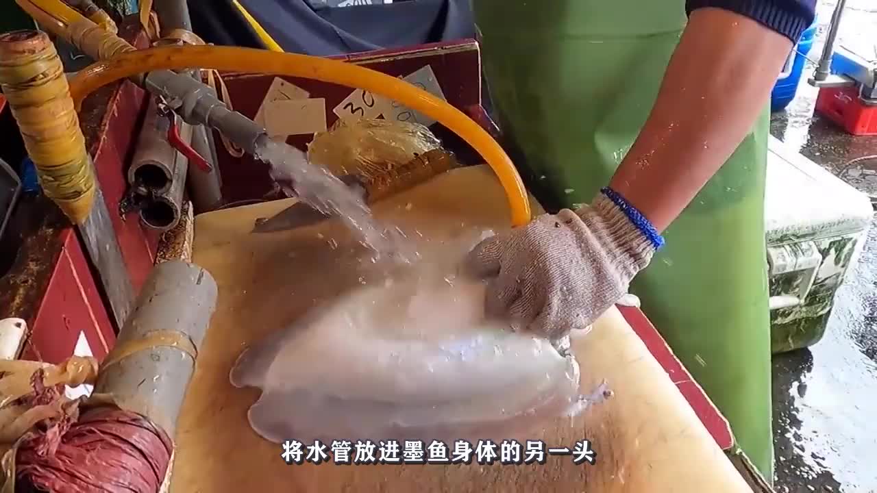 大叔处理海鲜过程真奇葩肚子灌满水像气球太好玩了