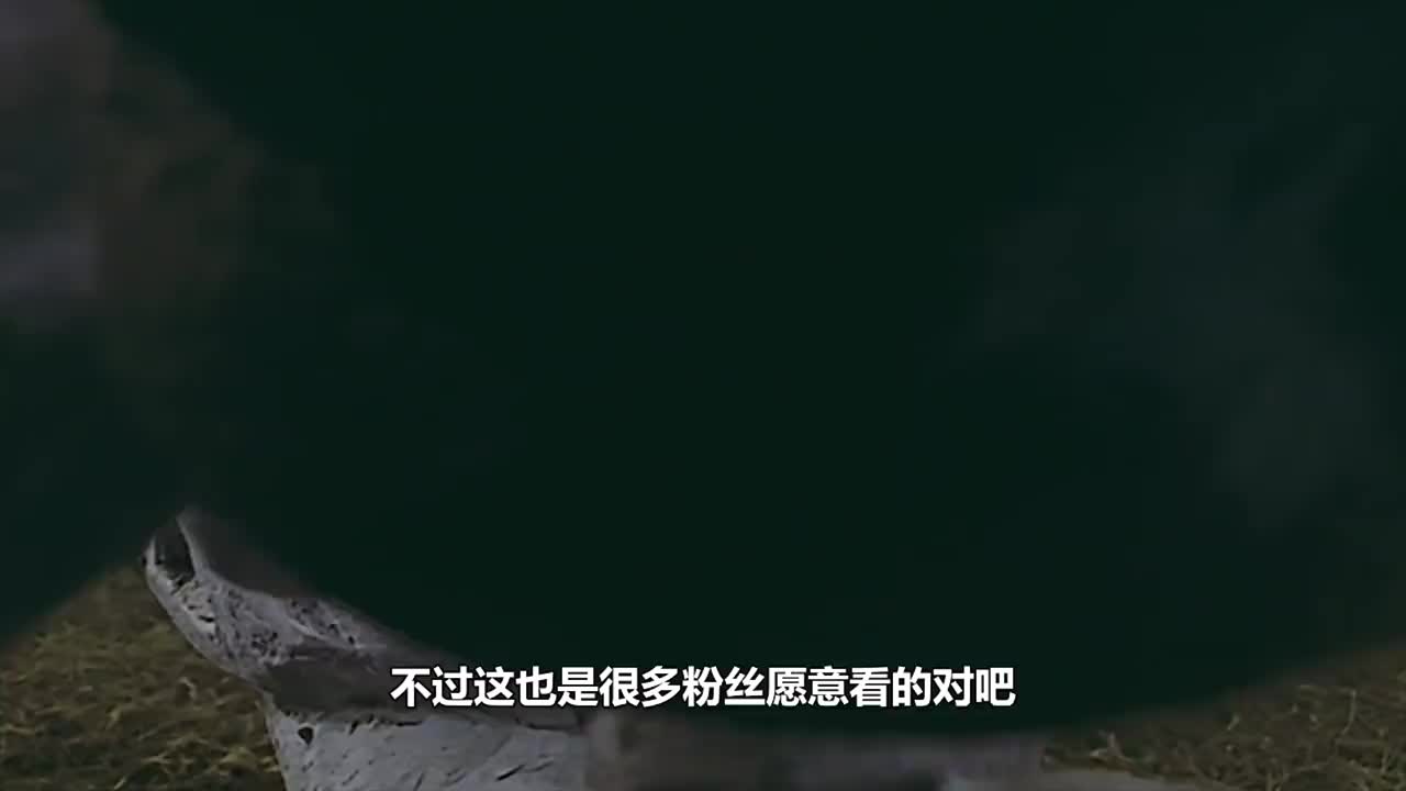 超古代遗迹沉入海底 超古代石像全军覆没 特利迦怎么活下来的 超古代遗迹沉入海底 超古代石像全军覆没 特利迦怎么活下来的