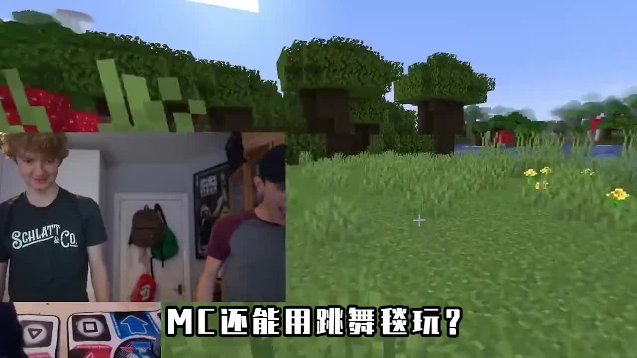 我的世界:tommy和小伙伴想用跳舞毯通关mc?结果一天也撑不过