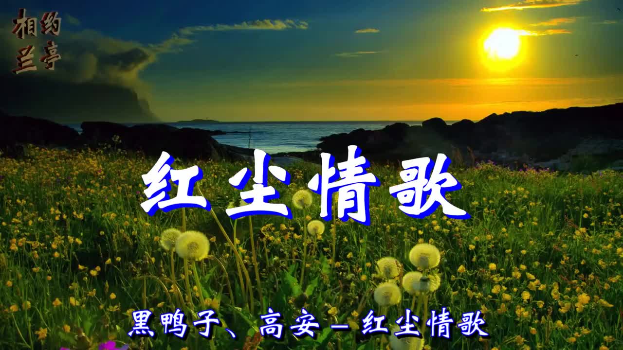 一首醉人的情歌红尘情歌好听极了百听不厌