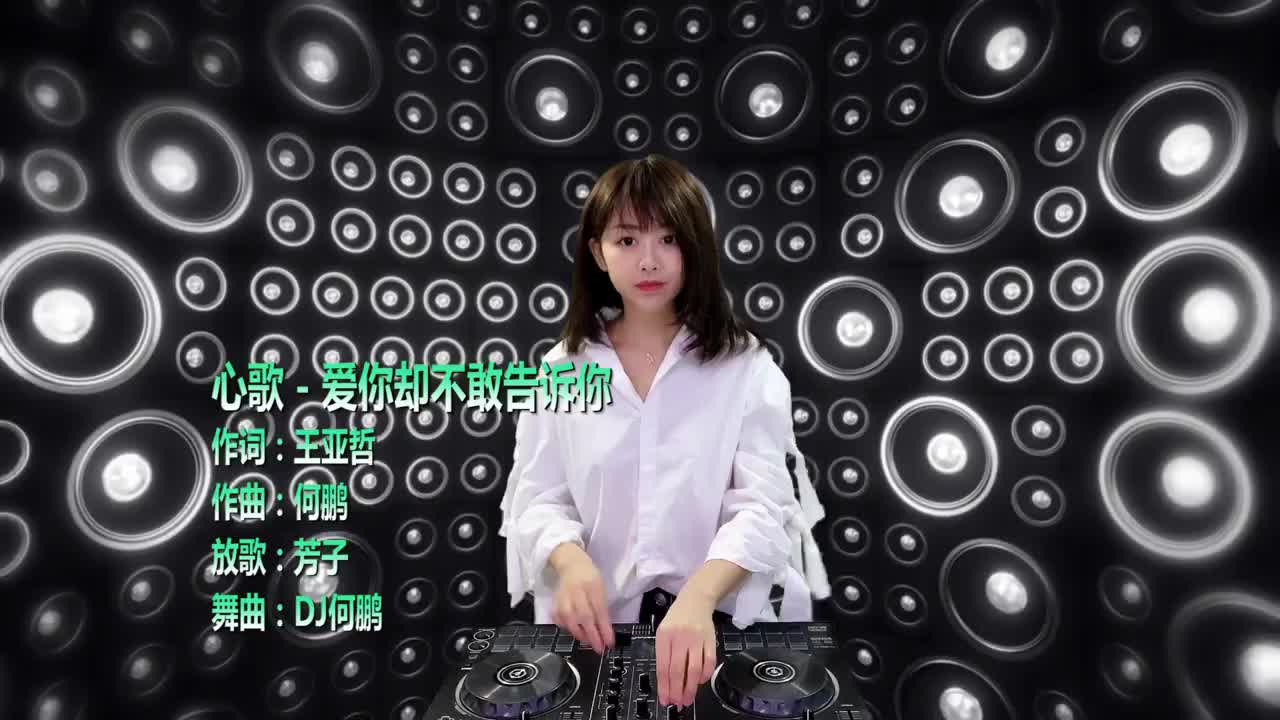 心歌-爱你却不敢告诉你(dj何鹏版)