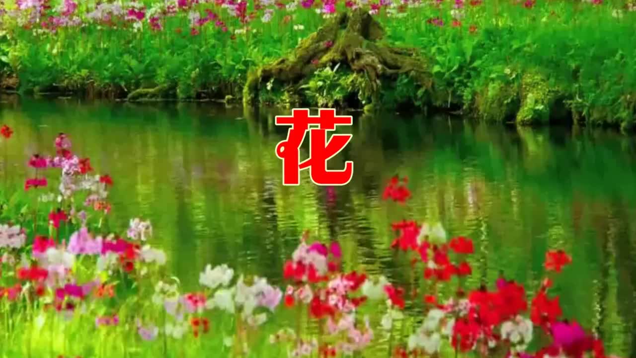 贴心的拥抱相互的依赖广场舞等到花儿开