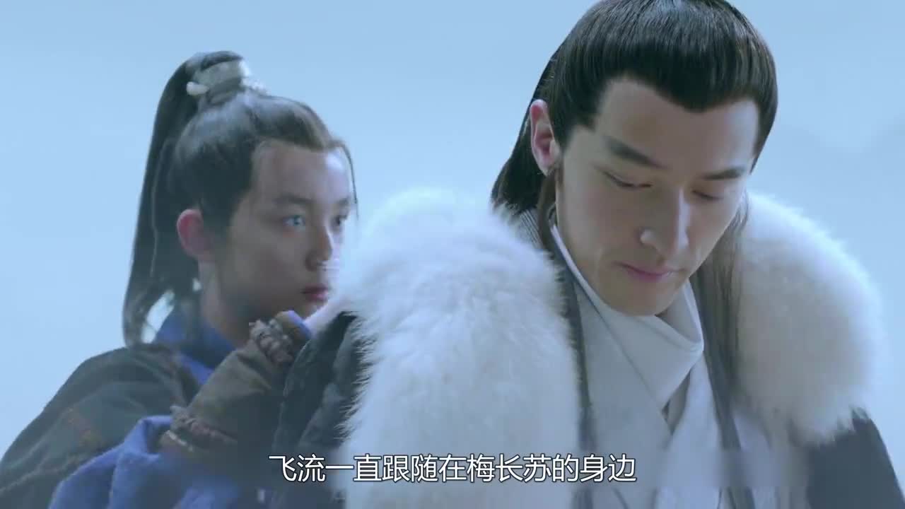 琅琊榜大结局梅长苏死后飞流也没有独活这件东西说明一切
