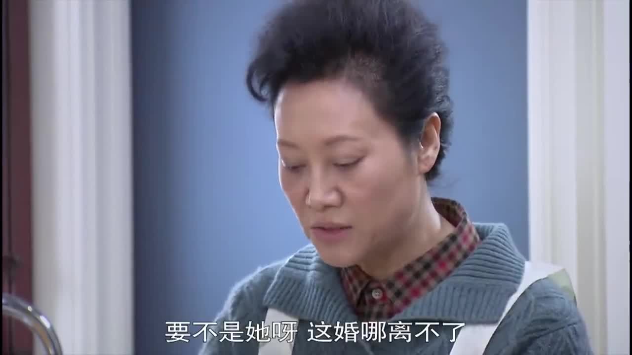 丈母娘的幸福生活电视剧演员表