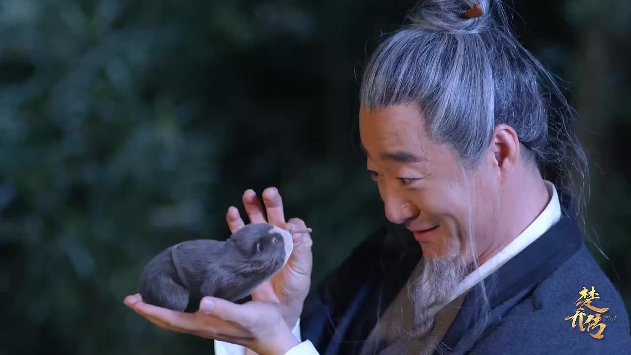 楚乔传左宝仓在洞口投喂小动物楚乔突然到访