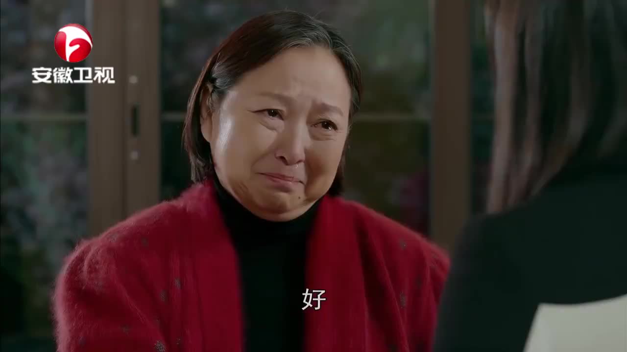 生活启示录大结局蓝馨和婆婆关系变好老总最高兴不用受气