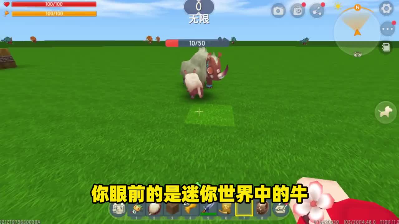 迷你世界不用动手击败牛被官方隐藏起来的特殊的秘密武器