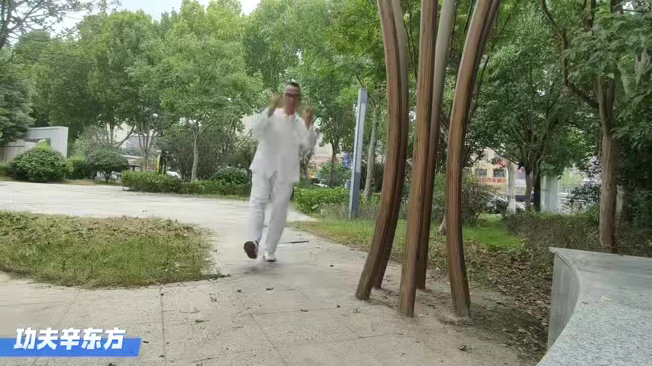 铁腿功百炼成钢功夫辛东方传统武术叶问蹲