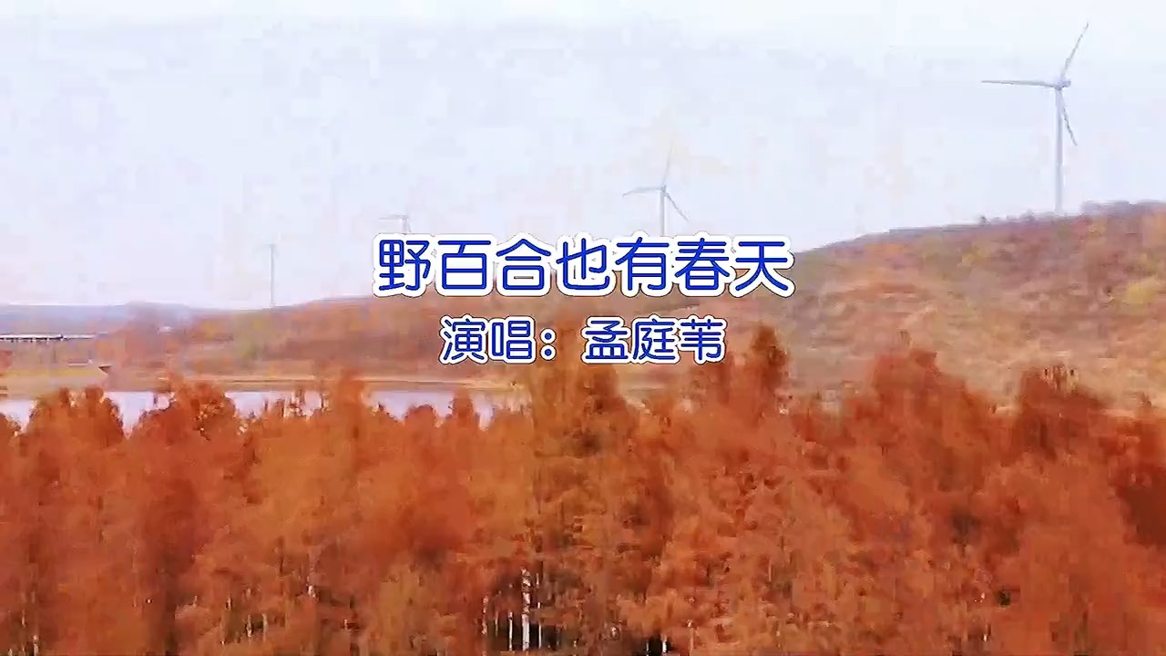 经典怀旧歌曲孟庭苇《野百合也有春天》，罗大佑作品