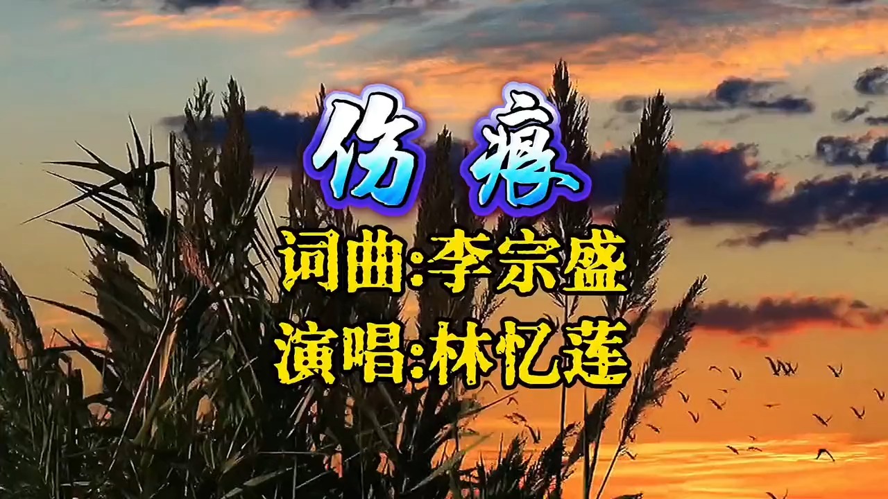 林忆莲的《伤痕》，初听这首歌的时候不解其中意，再听已是曲中人