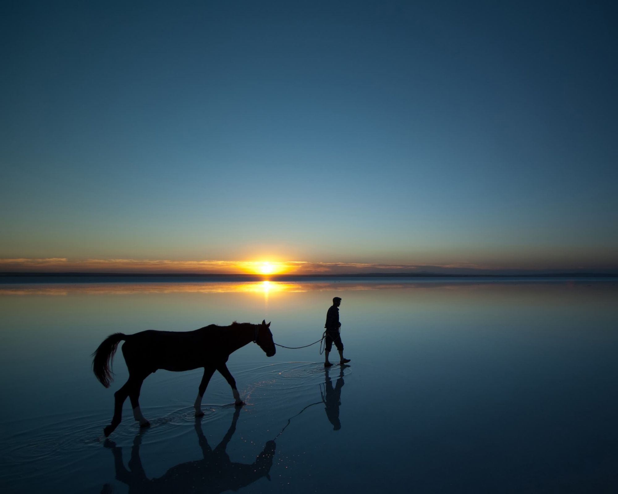 图片[5]_高清手机壁纸系列一_乐帮资源库