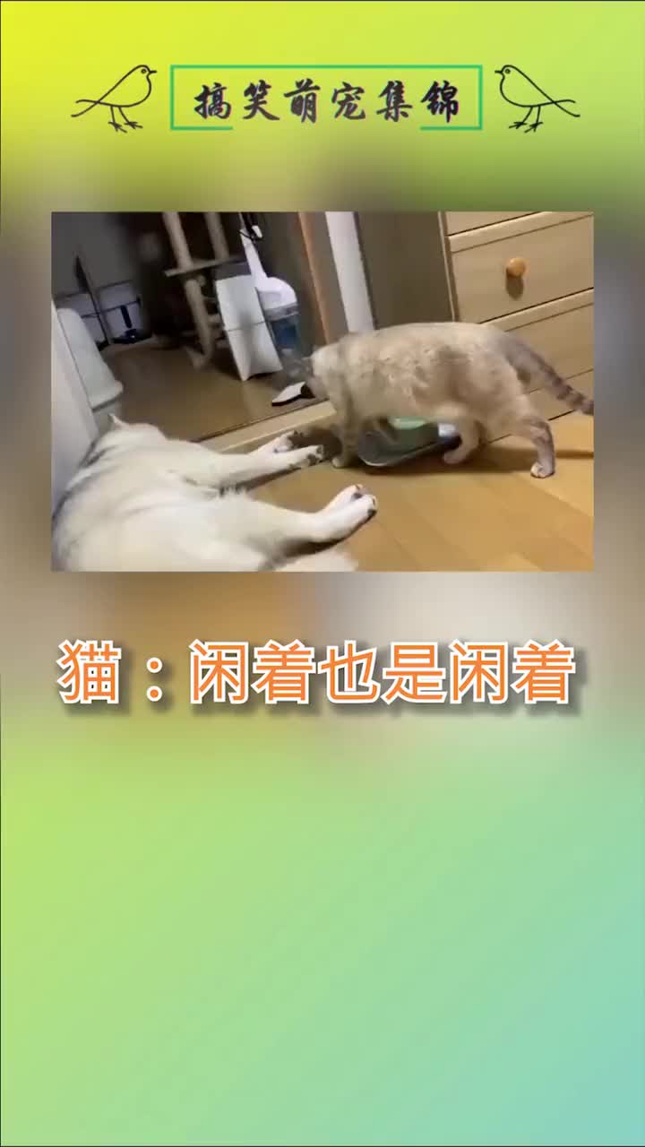 找个乐子有错吗