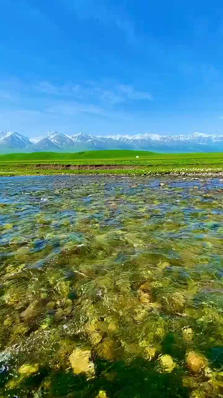 简直是太棒了吧《思念呦-江蕙&阿杜》,有一种独特的感觉