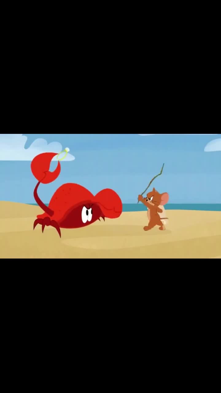 猫和老鼠小鸟抢走钻戒