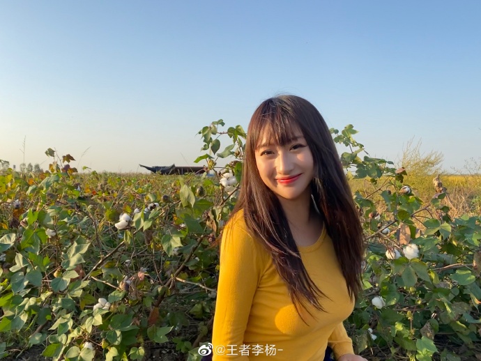 美女主持人王者李杨迷人写真美照好看