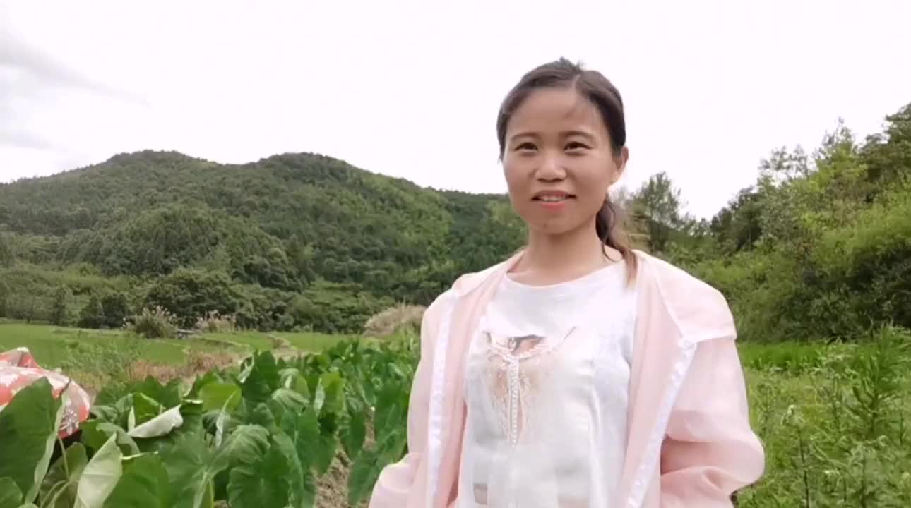 汕头妹嫁江西,分享种植芋头经验,为何中途被妈妈赶走