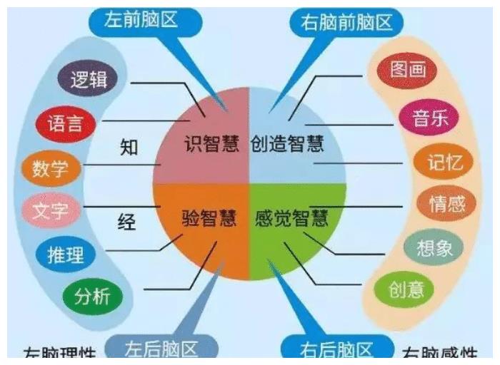 罗杰·斯佩里通过割裂脑的实验,于是提出了左右脑分工理论.