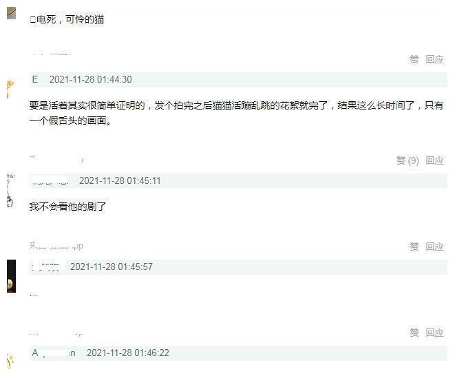 《当家主母》风波升级？群演爆料猫已过世，电击致死当天就埋了休闲区蓝鸢梦想 - Www.slyday.coM