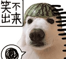 狗狗腹泻还拉血 球虫惹的祸 狗狗腹泻还拉血 球虫惹的祸