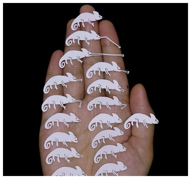 手掌上的纸动画,原来剪纸可以这么玩,真的脑洞大开!收藏学习