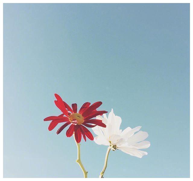 一个人心境淡然的唯美语句经典至极深度好文