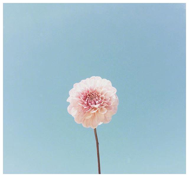 一个人心境淡然的唯美语句,经典至极,深度好文!__财经头条