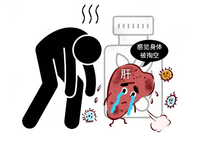 多吃4物,极力挽救|肝细胞|肝脏|熬夜_新浪新闻