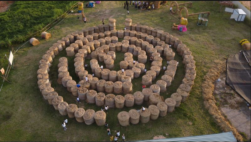 10万斤的草就给你"种"这里了!|迷宫|草垛|稻草_新浪新闻