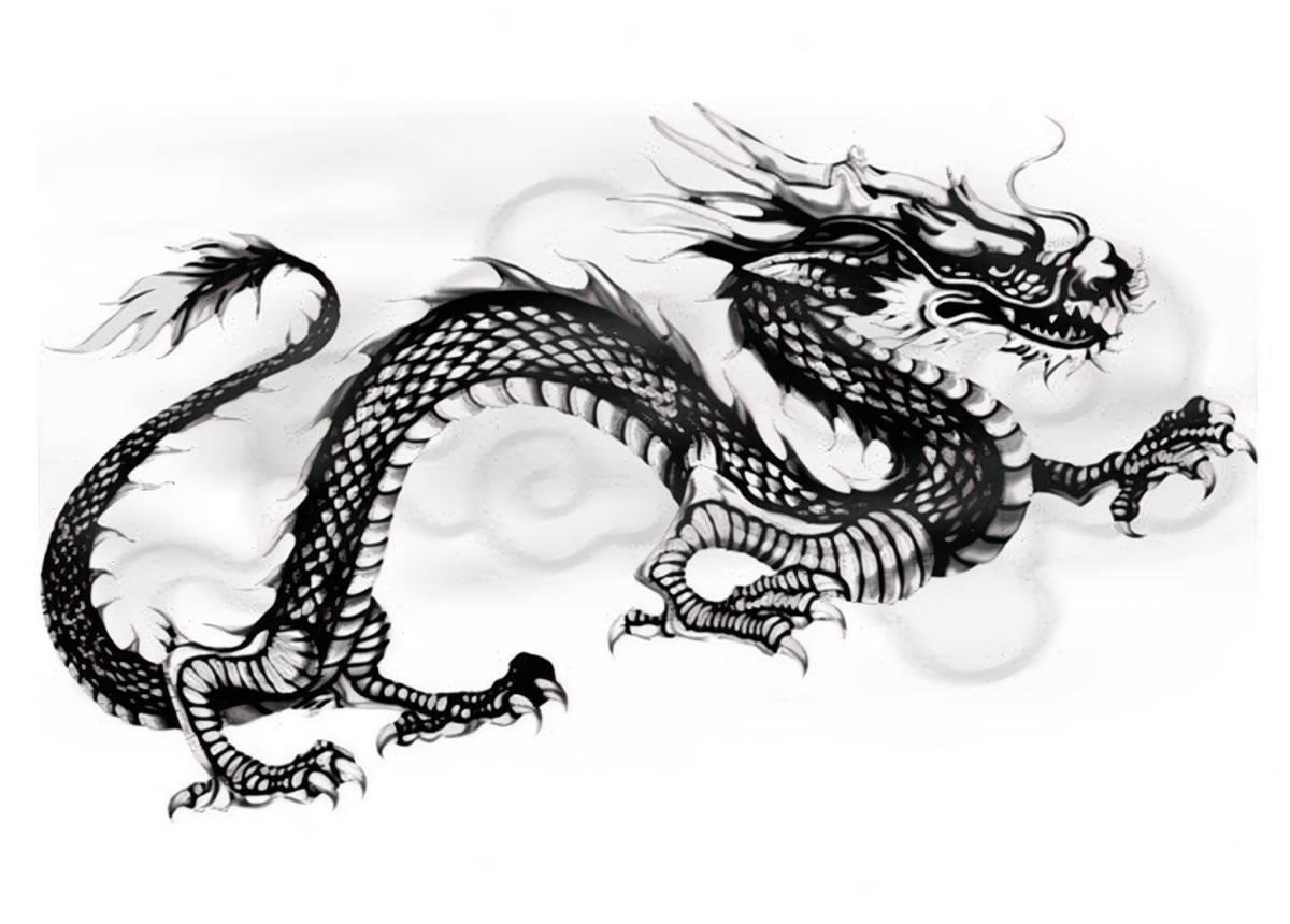 十一月的蛇最有福气 8474-3c0631ba3b4765a840ae20def3984a7d.jpg